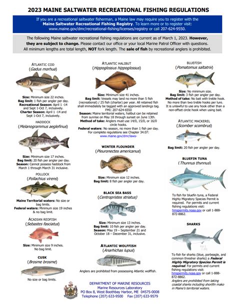 maine 2023 fishing license.